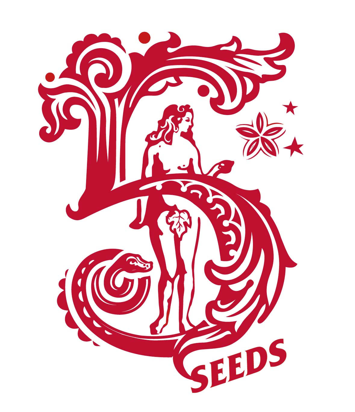 5 Seeds Cider sketch one